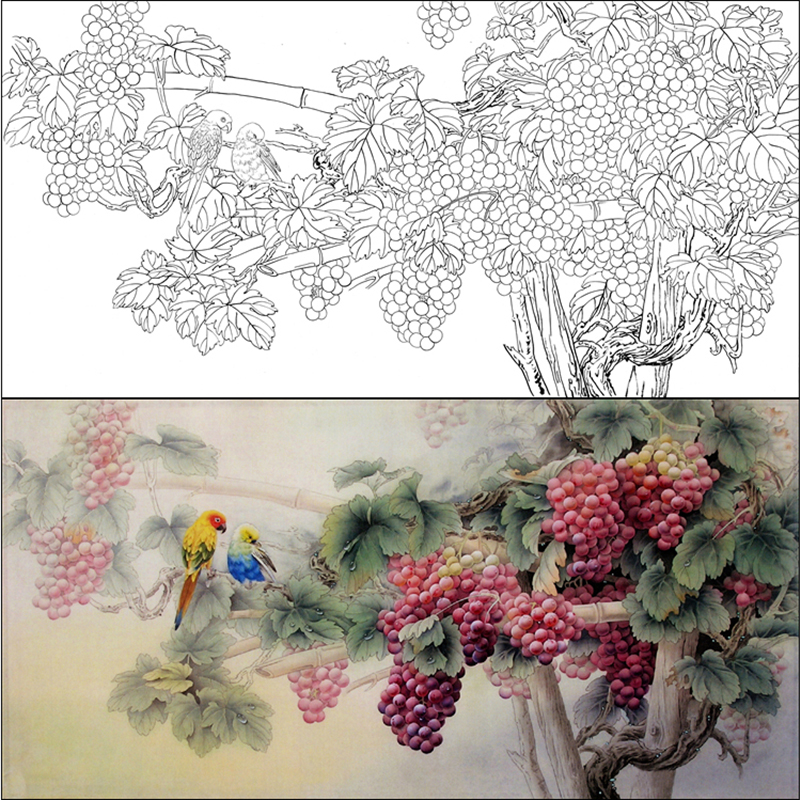 hf48高清工笔画 国画 花鸟临摹勾线底稿