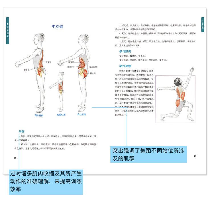 正版包邮《舞蹈解剖学》关于舞蹈基础解剖知识书籍 舞蹈的动作分析