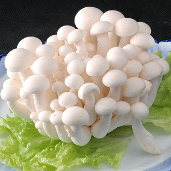 白玉菇/蟹味菇/海鲜菇 新鲜蔬菜 火锅 煲汤(蔬菜)