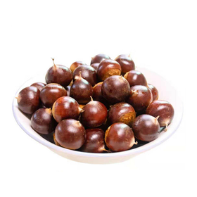 政和油锥栗（5斤）