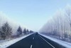 2019 东北冰雪亲子营 | 来“爸爸去哪儿”拍摄林场体验东北民俗，玩雪滑雪、打雪仗、冬捕、泡温泉、穿越雪原！ 商品缩略图0