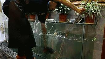 【优选 吃】88元即可秒杀原价169元的【渔猫子木桶鱼】3~4人套餐！3斤鲢鱼+4份涮菜+锅底油碟ll 商品图12