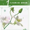 雅姿®控油保湿面膜/净敛毛孔告别油腻肌/特别适合加班后~皮脂腺旺盛脸上油光满面 商品缩略图4