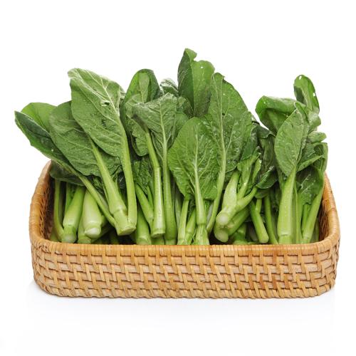 菜心苗【【当天18:00前下单当天送货】