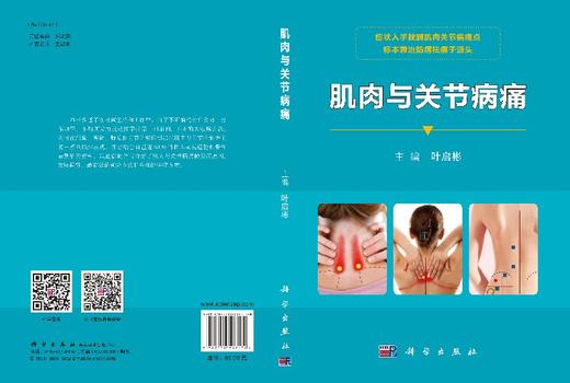 肌肉与关节病痛/叶启彬 商品图3