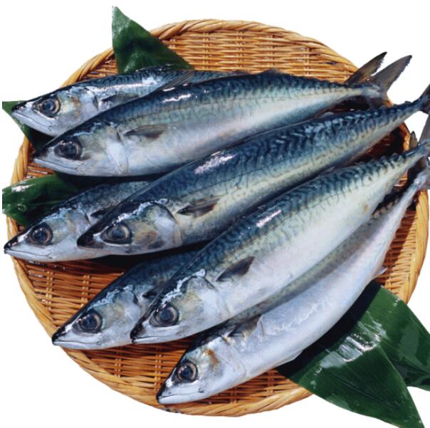ˮ  2100g(3-5) 9.9Ԫ