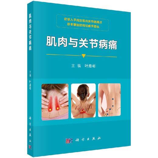 肌肉与关节病痛/叶启彬 商品图0