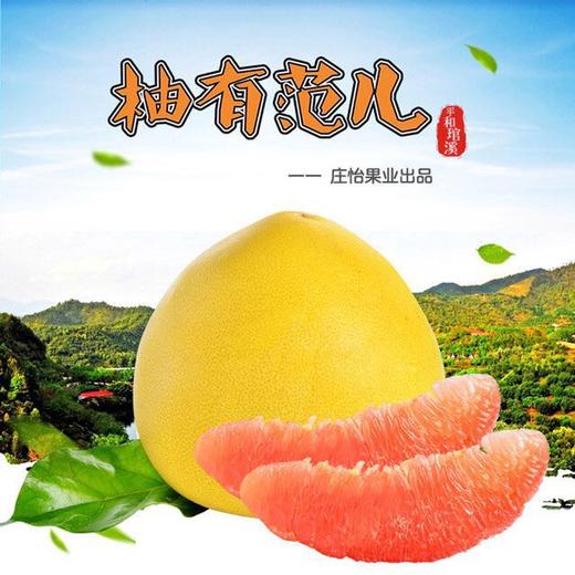 【柚有范儿两红约5斤】欧盟标准的高等级果，全程种植管控，精选成熟度高口感最佳的时间采摘发货，符合478项欧盟检测标准，给你带来健康好吃的蜜柚 商品图0