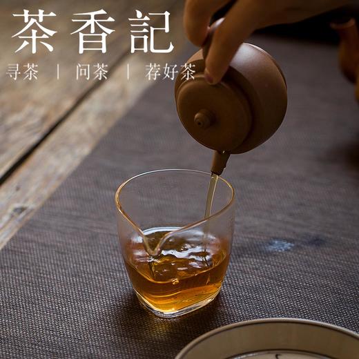 茶香记 博格达茯砖2005年 安化黑茶 安化茶厂 梅山韵 醇厚顺滑 金花茂盛 商品图2