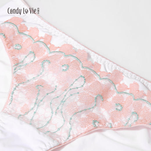 浮萍内裤少女刺绣搭配内裤 商品图2