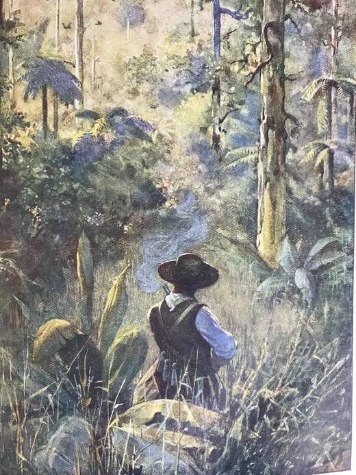 1936年 鲁滨逊漂流记 配彩色插图 布面精装16开 商品图9