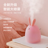 萌兔迷你加湿器小家用静音卧室小型车载usb办公室桌面礼物补水便携式宿舍学生用空气净化器可爱喷雾办公桌 商品缩略图1