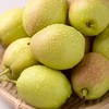 库尔勒爆汁香梨 4.5斤/1箱 商品缩略图1
