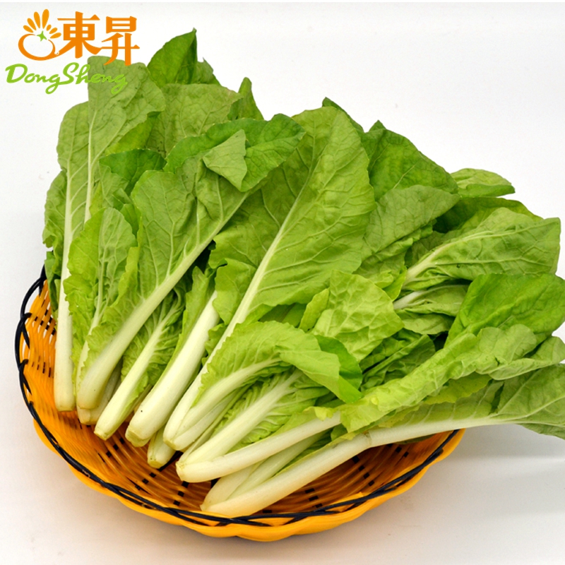 【新品】东升农场 杭白苗 杭白菜 小白菜 广州供港蔬菜新鲜配送250g