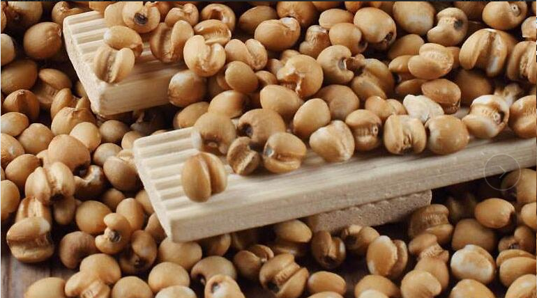 熟红薏米（5斤装）