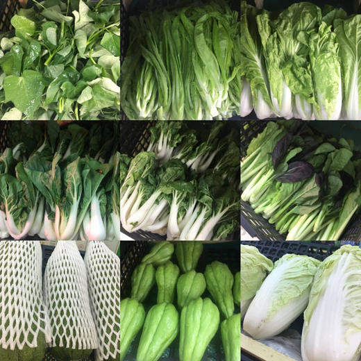 禾春元  任意生态有机蔬菜搭配套餐  1份/500G 商品图0