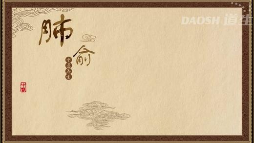 肺俞 商品图0