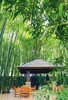 独栋别墅！私人管家！聚会首选！588元/6大3小抢原价1892元【禾陶屋】别墅入住一晚！青城山脚~多种主题~房源紧张限量哦ll 商品缩略图2