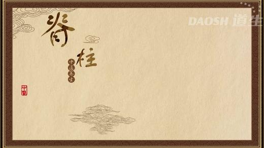 脊柱 商品图0