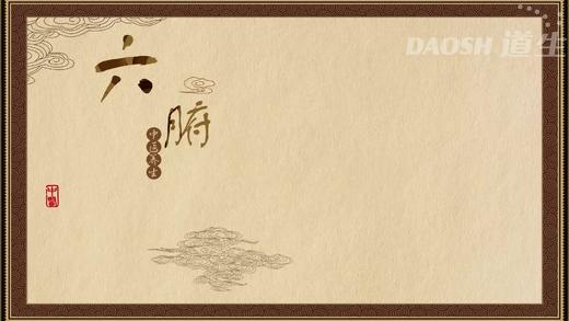 六腑 商品图0