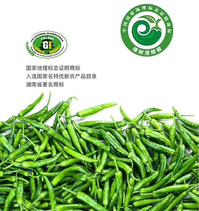 阳雀湖樟树港辣椒3斤装新鲜礼盒装顺丰包邮赠2瓶小
