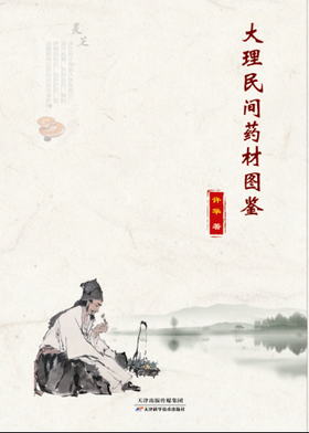 大理民间药材图鉴