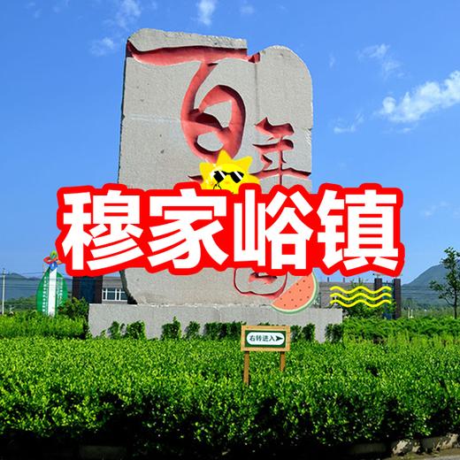 【百年栗园】喂萌宠+园内秋千+捡山货+挖红薯，限周末使用！ 商品图0