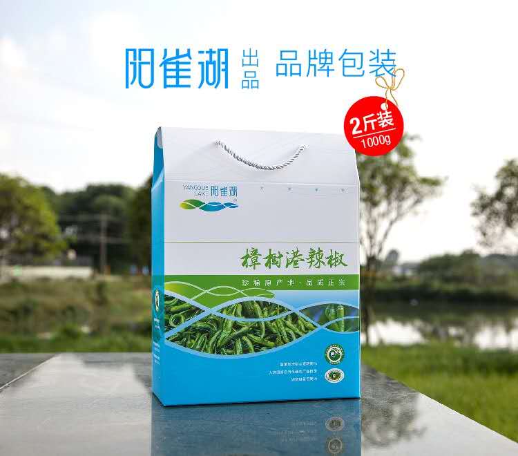 阳雀湖樟树港辣椒1斤装新鲜礼盒装顺丰包邮