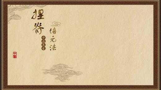 捏脊培元法 商品图0