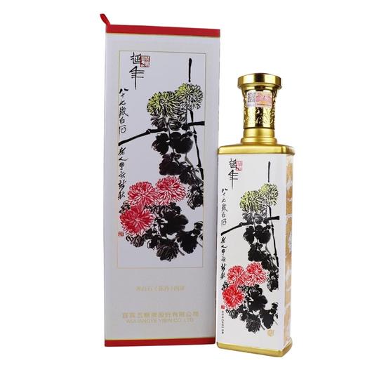 52度五粮液 文化艺术酒500ml×4 商品图1