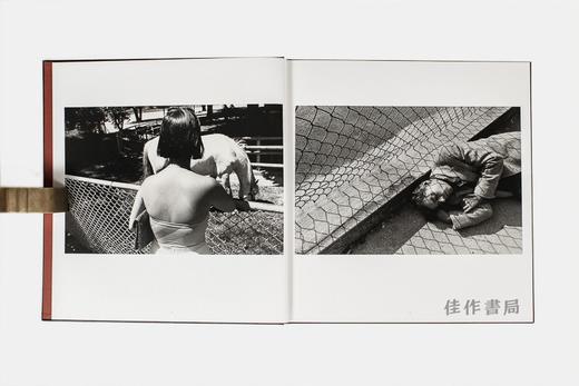 Lee Friedlander: Chain Link/李·弗里德兰德:铁丝网/英文原版摄影集 商品图2