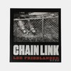 Lee Friedlander: Chain Link/李·弗里德兰德:铁丝网/英文原版摄影集 商品缩略图0