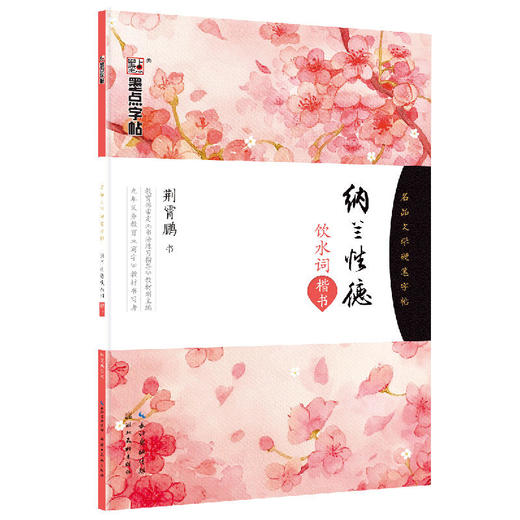 墨点字帖：名品文学硬笔字帖 纳兰性德饮水词 楷书字帖硬笔钢笔学生成人字帖 商品图0