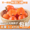 【现摘现发】千岛湖红姑娘 无核柿子 味道蜜甜肉质细腻 商品缩略图0