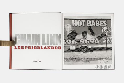 Lee Friedlander: Chain Link/李·弗里德兰德:铁丝网/英文原版摄影集 商品图4