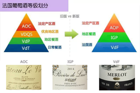 法国葡萄酒分级中的AOP，IGP和VDF分别是什么？