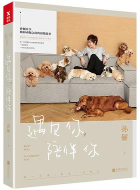 《遇见你陪伴你 》