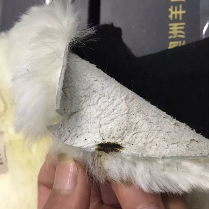 透气性强… 下面我们在来段测试视频,看下皮毛一体的真假