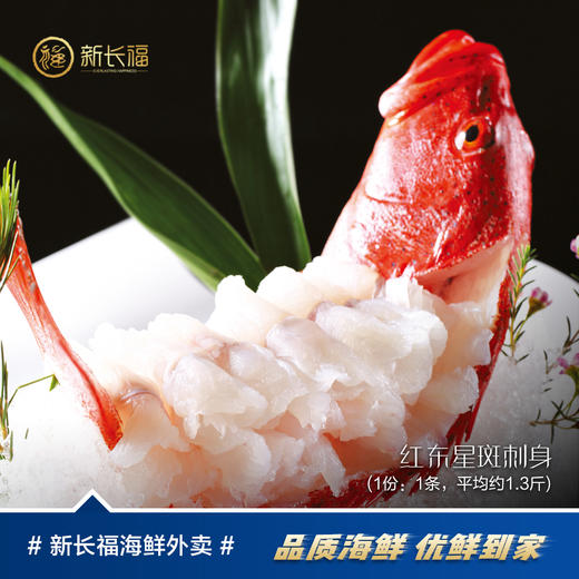 红东星斑刺身（条） 商品图0