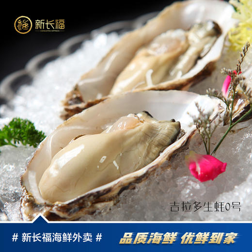 吉拉多生蚝0号（只） 商品图0