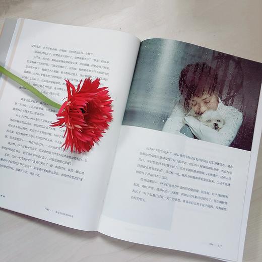 《遇见你陪伴你 》 商品图5