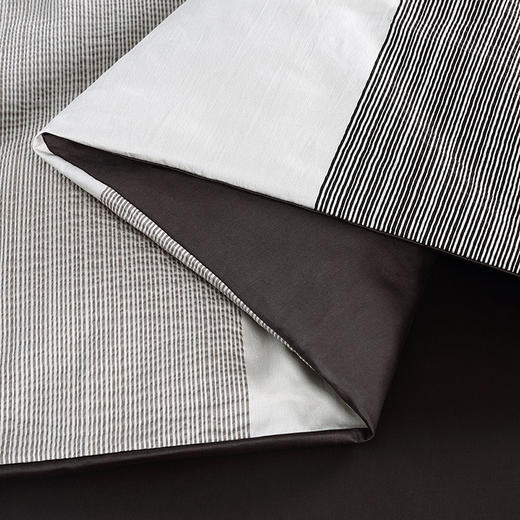 CMD17002 Pinstripe Seed 品思特四件套 商品图3