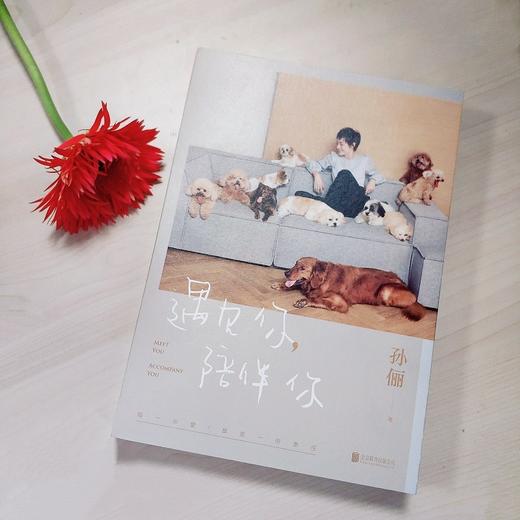 《遇见你陪伴你 》 商品图4