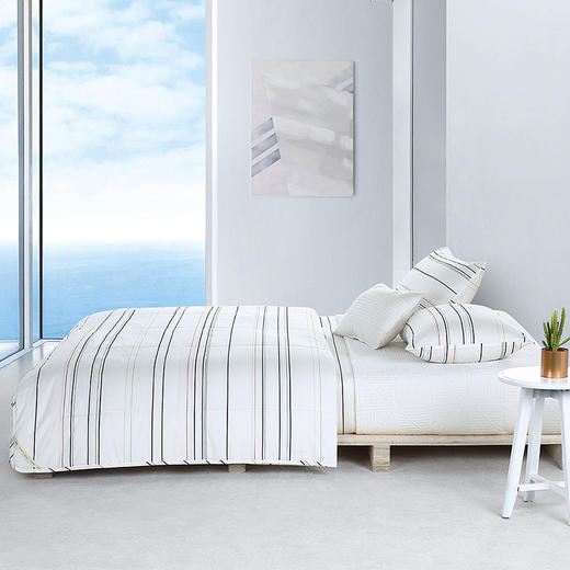 CXW-012 CK STRIPE全棉时尚被 商品图2