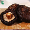 天野园·香菇 120g 商品缩略图4