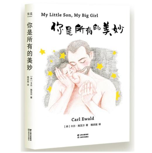 你是所有的美妙（陪伴孩子的时光，铸就了一个父亲的温柔与荣耀。丹麦童话家卡尔与女儿和儿子的美妙瞬间；暖心故事版《父与子》） 商品图1