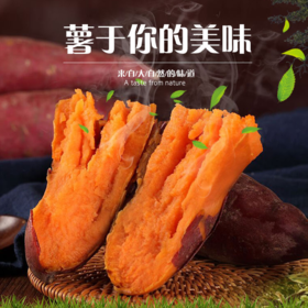 代理产品勿拍天山蜜薯 4斤/件