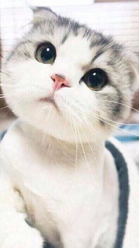 瘦瘦测分销跨店1023