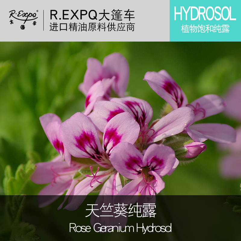 天竺葵饱和纯露rose geranium hydrosol进口纯露批发