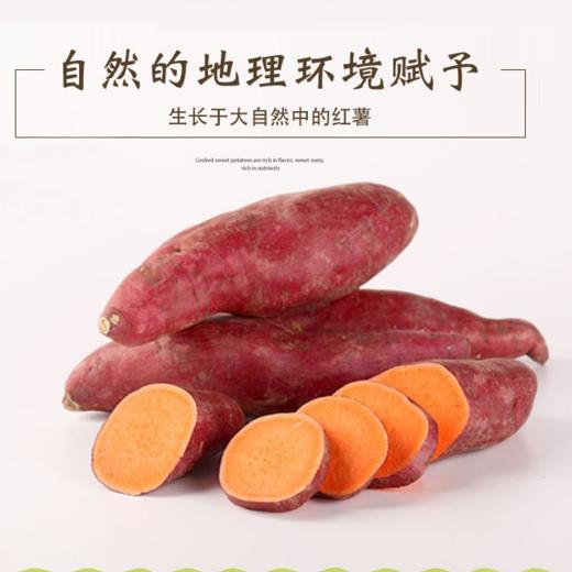 代理产品勿拍天山蜜薯 4斤/件 商品图1